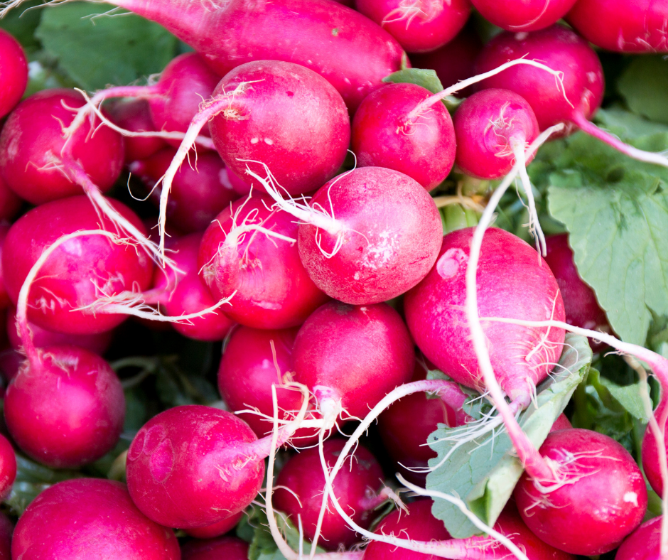 roasted radishes