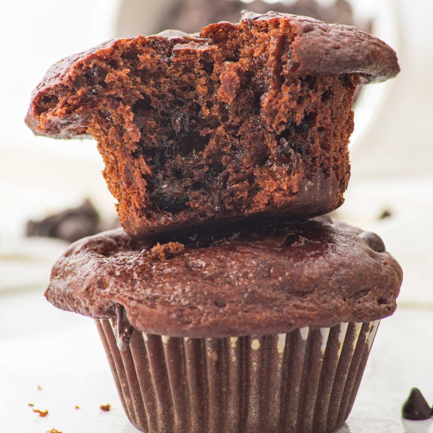 double choc cottage cheese muffins