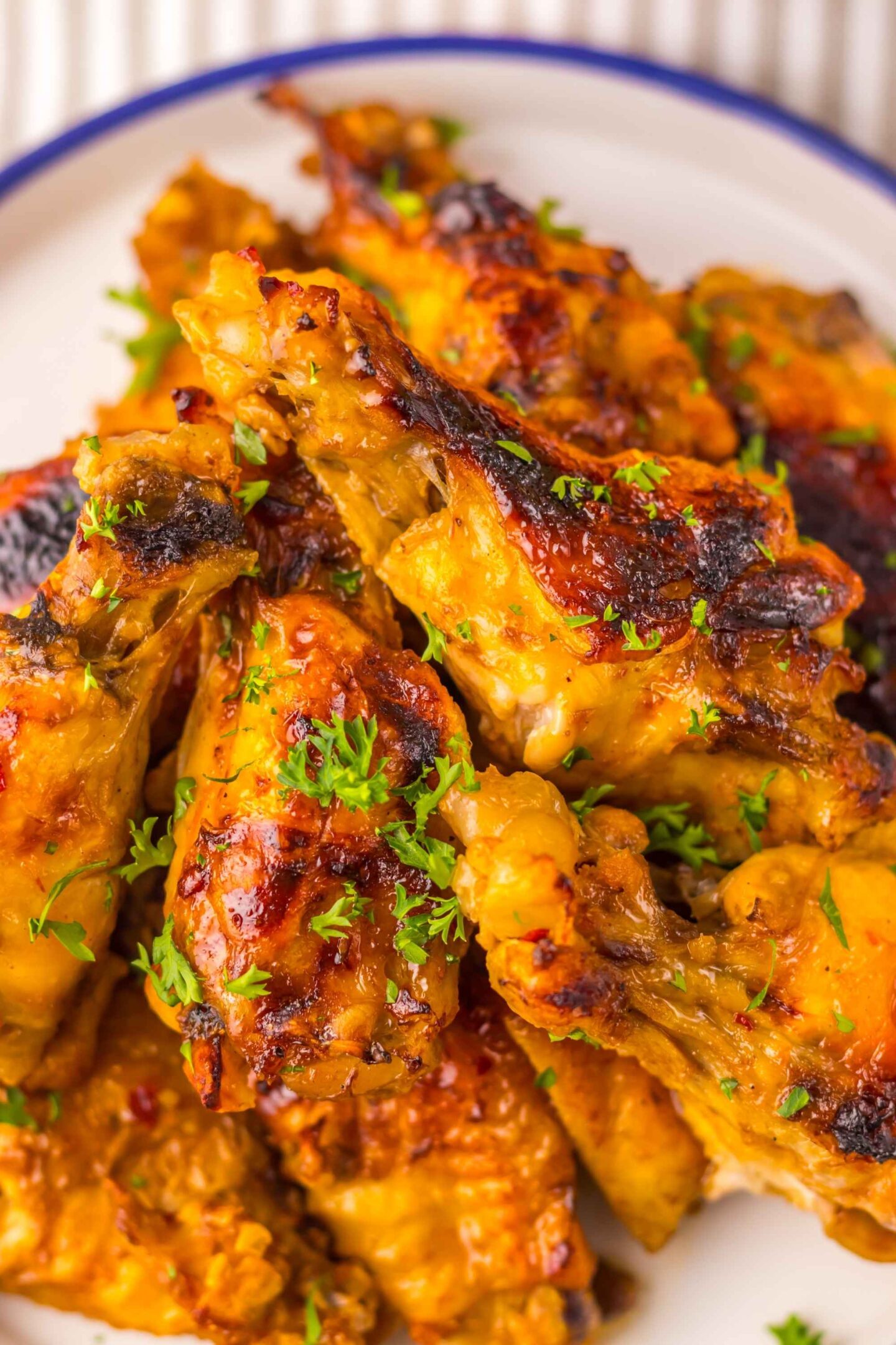 close up wings