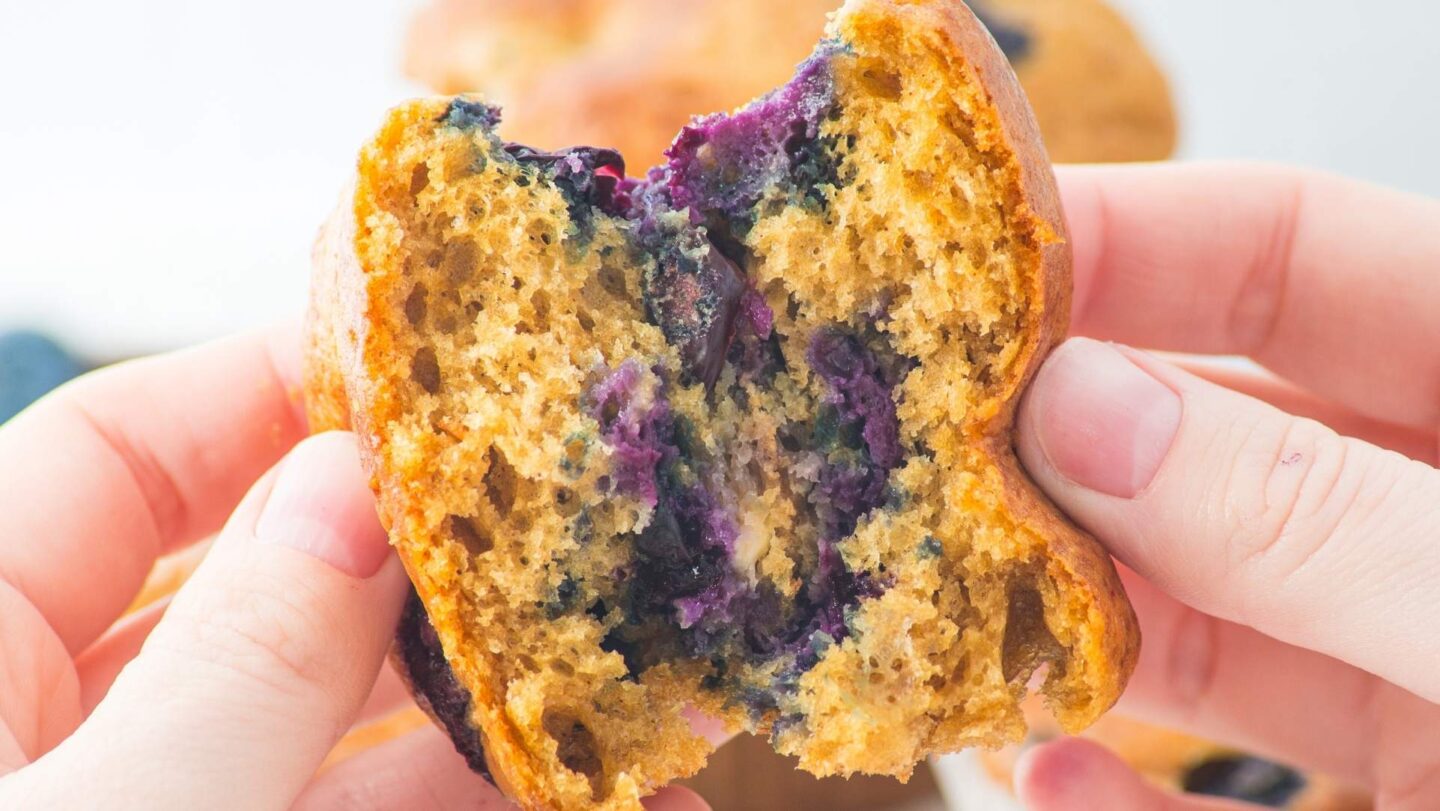 upclose cottage cheese blueberry muffins
