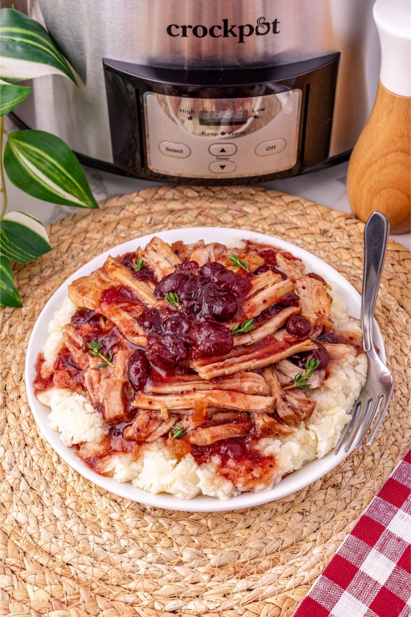 crockpot cranberry pork loin