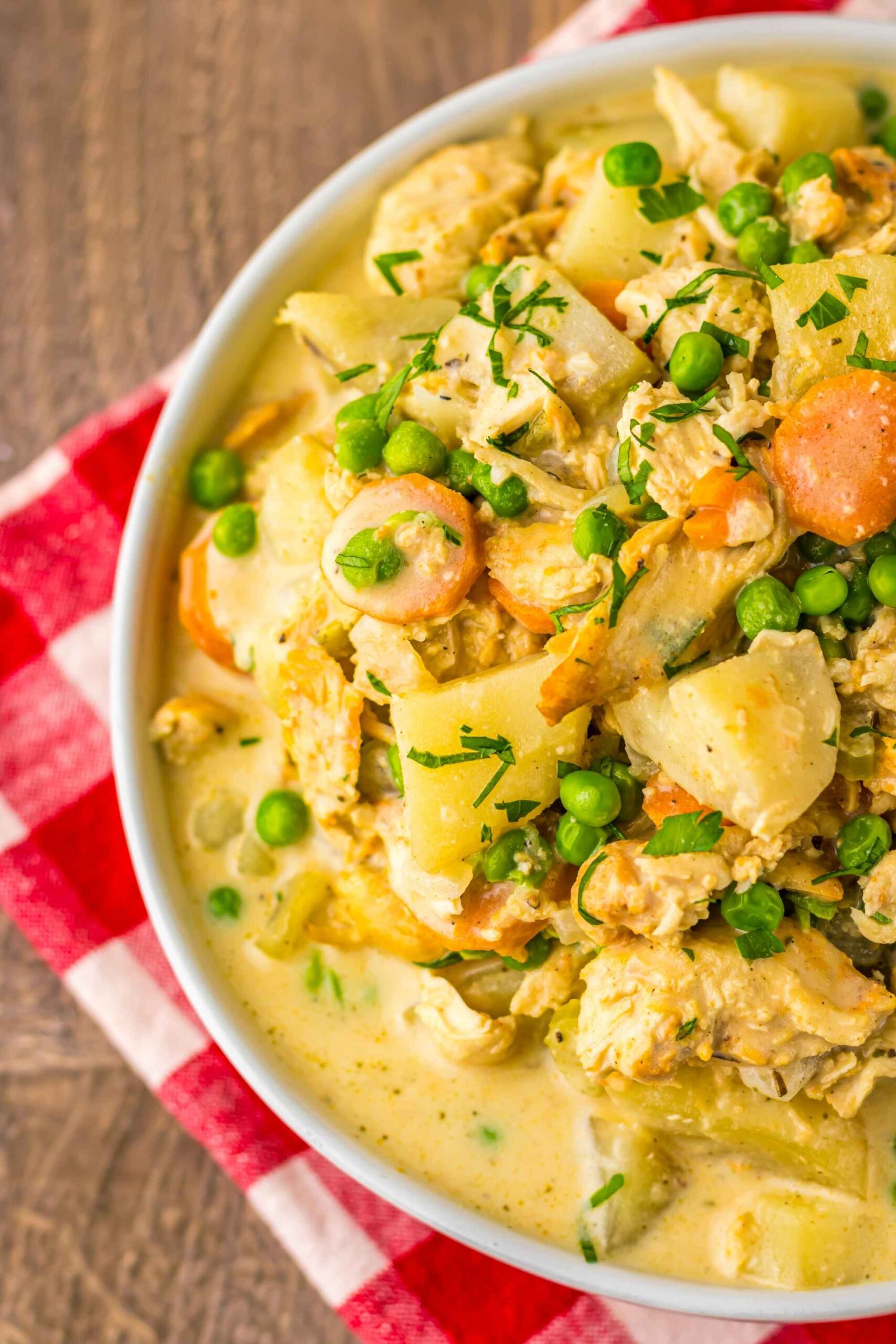 crockpot turkey stew