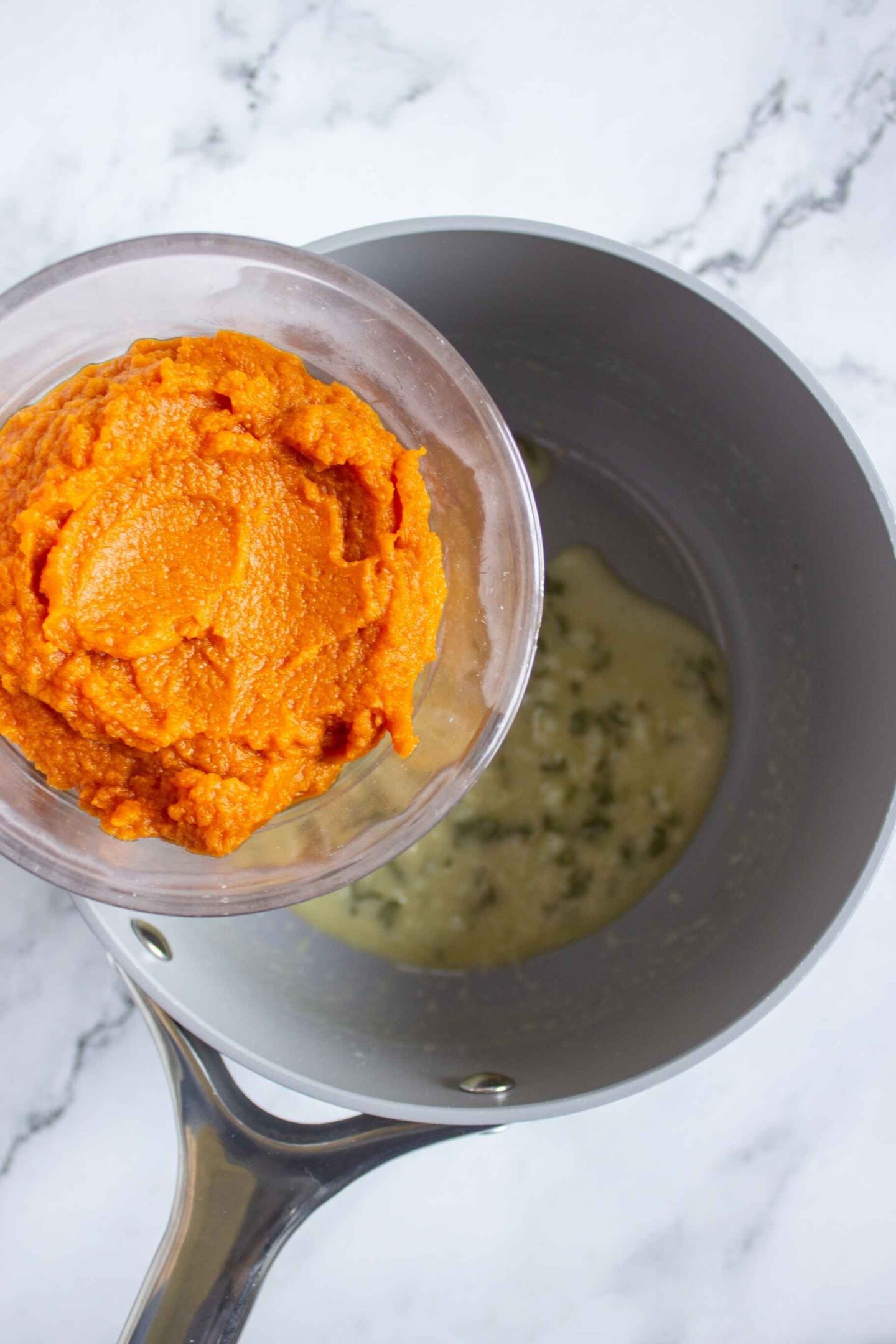 pumpkin puree pasta sauce