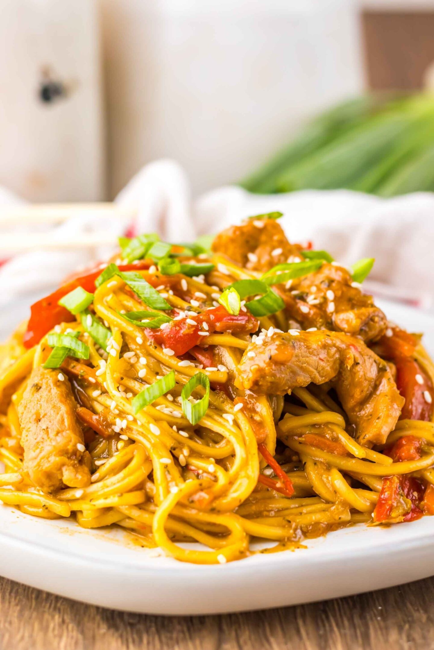 slow cooker pork noodles