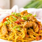 slow cooker pork noodles