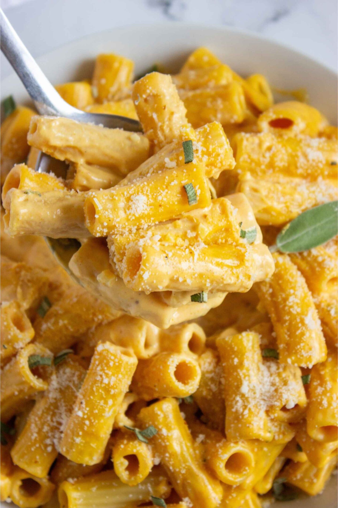 upclose pumpkin pasta