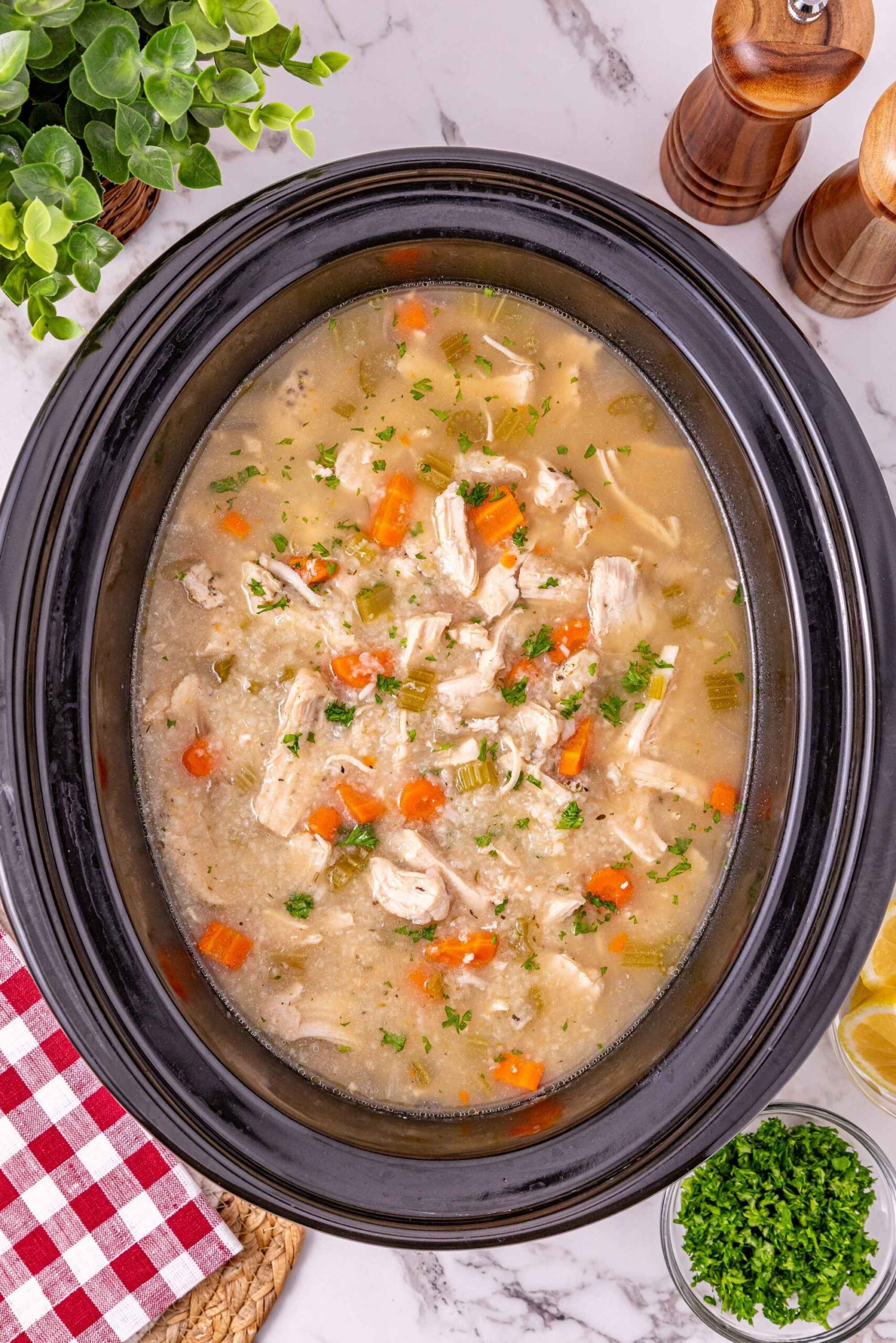 crockpot chicken and rice soup