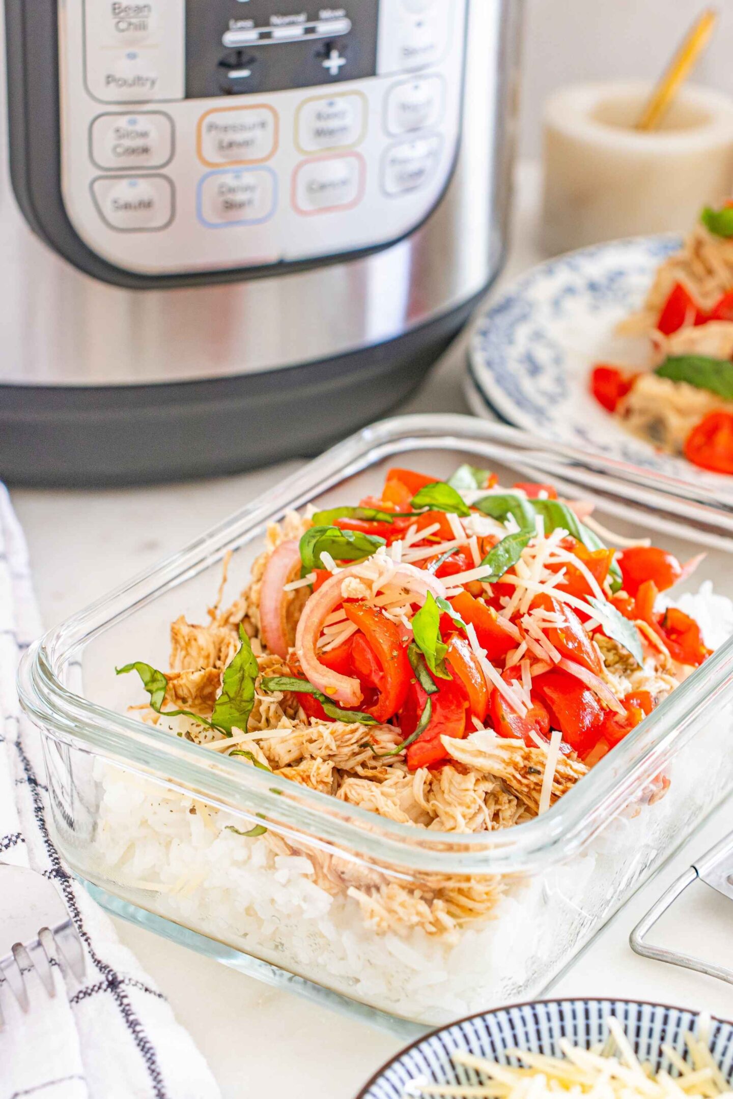 instant pot chicken rice