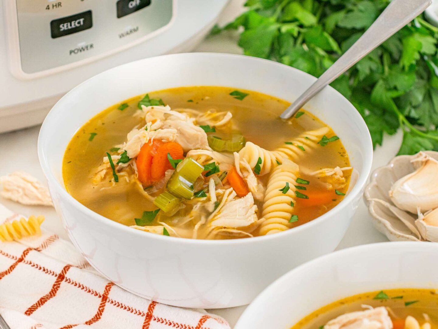 chicken noodle soup in bowl
