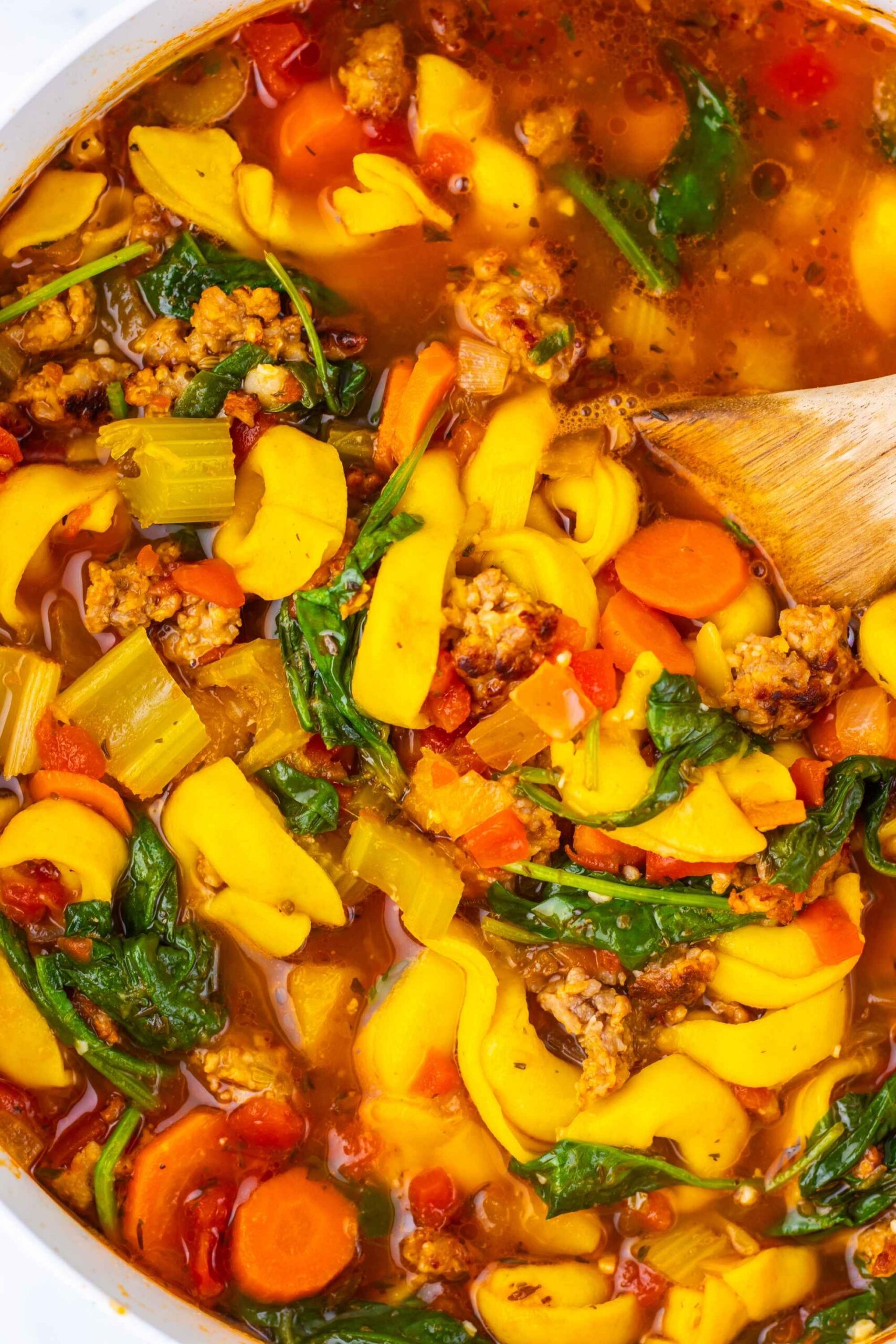 closeup tortellini soup