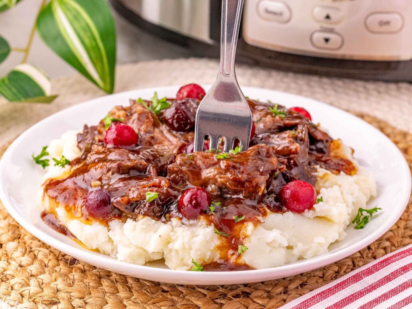 cranberry crockpot pot roast