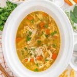 crockpot chicken noodle soup