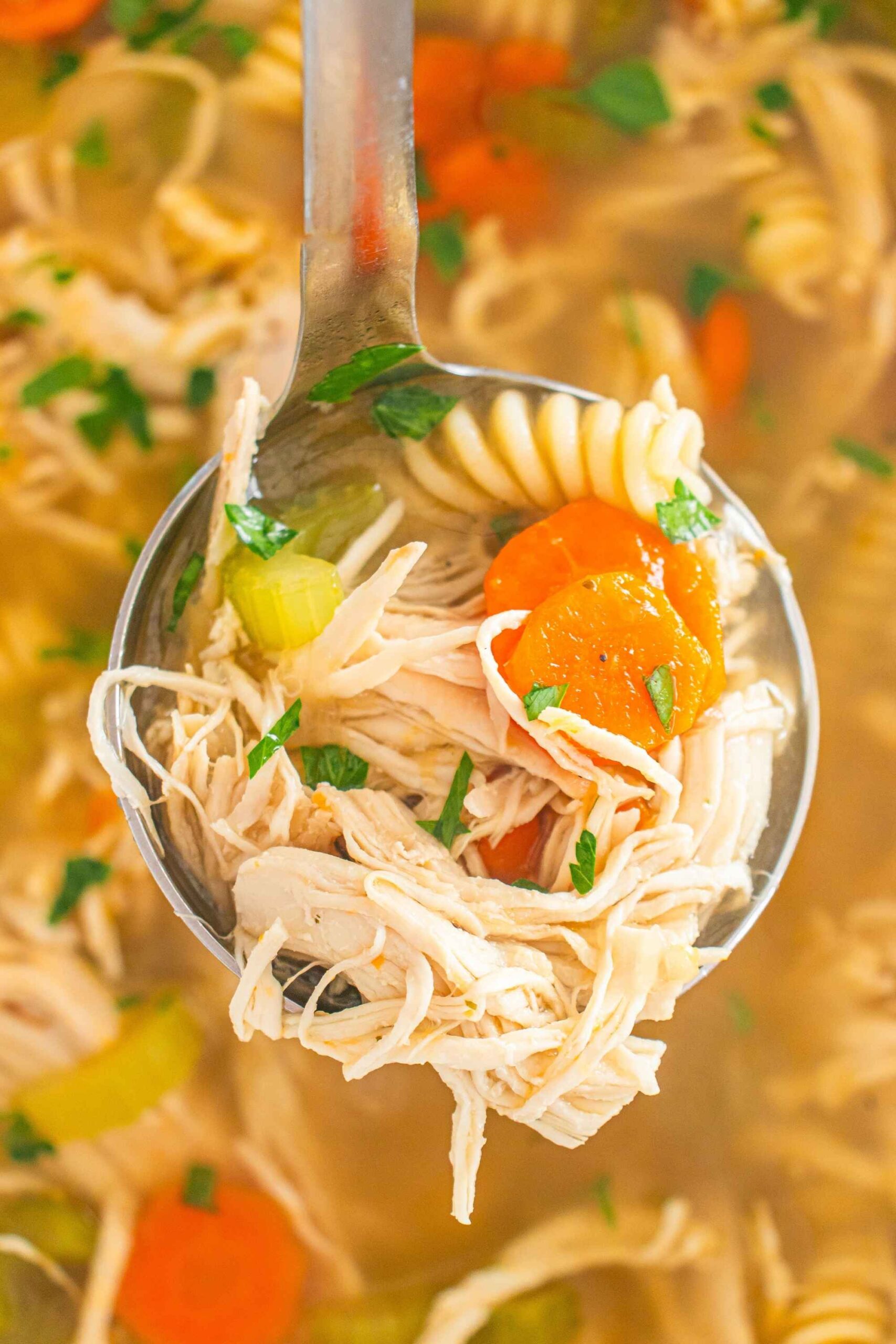 crockpot chicken noodle soup on spoon