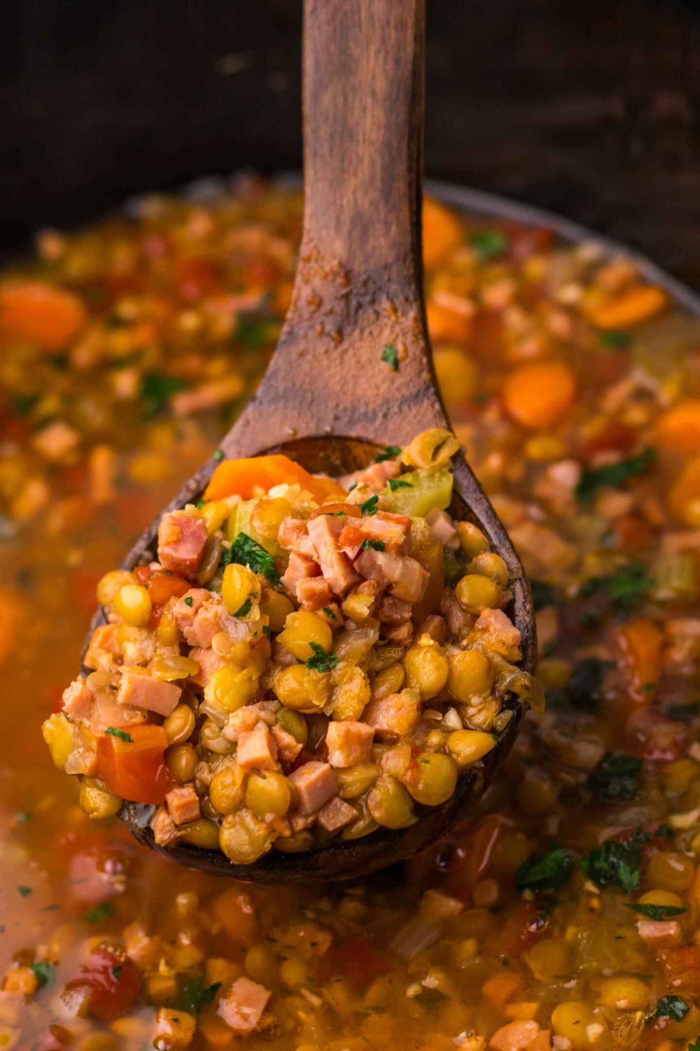 crockpot ham lentil soup on spoon