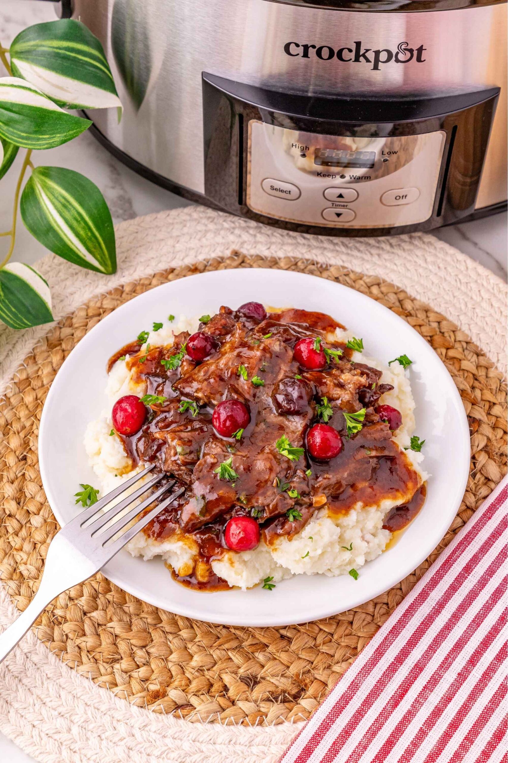 slow cooker pot roast with cranberries