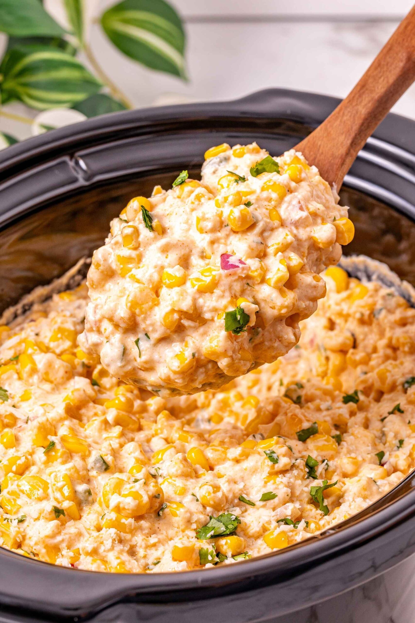 slow cooker mexican dip