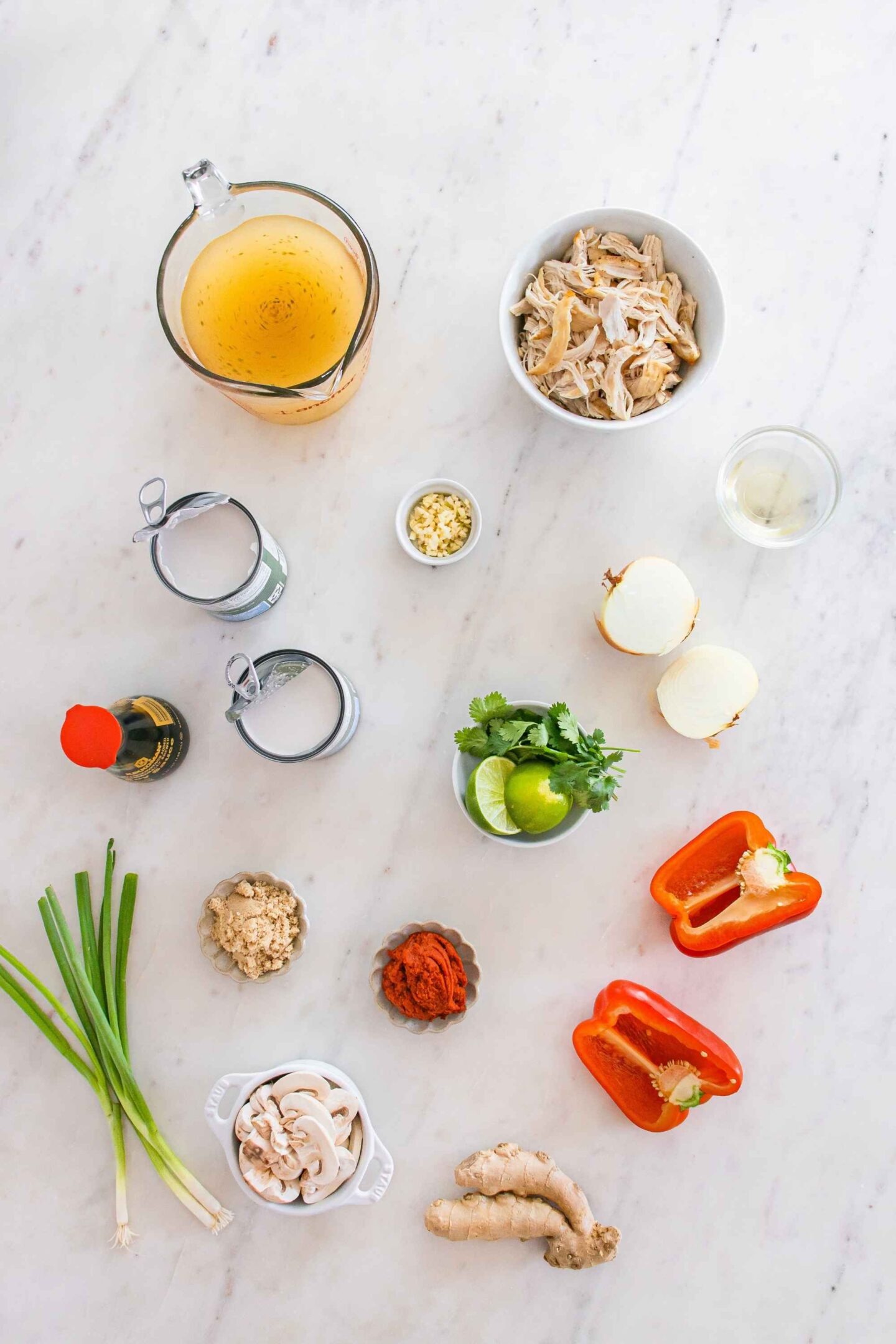 thai coconut soup ingredients