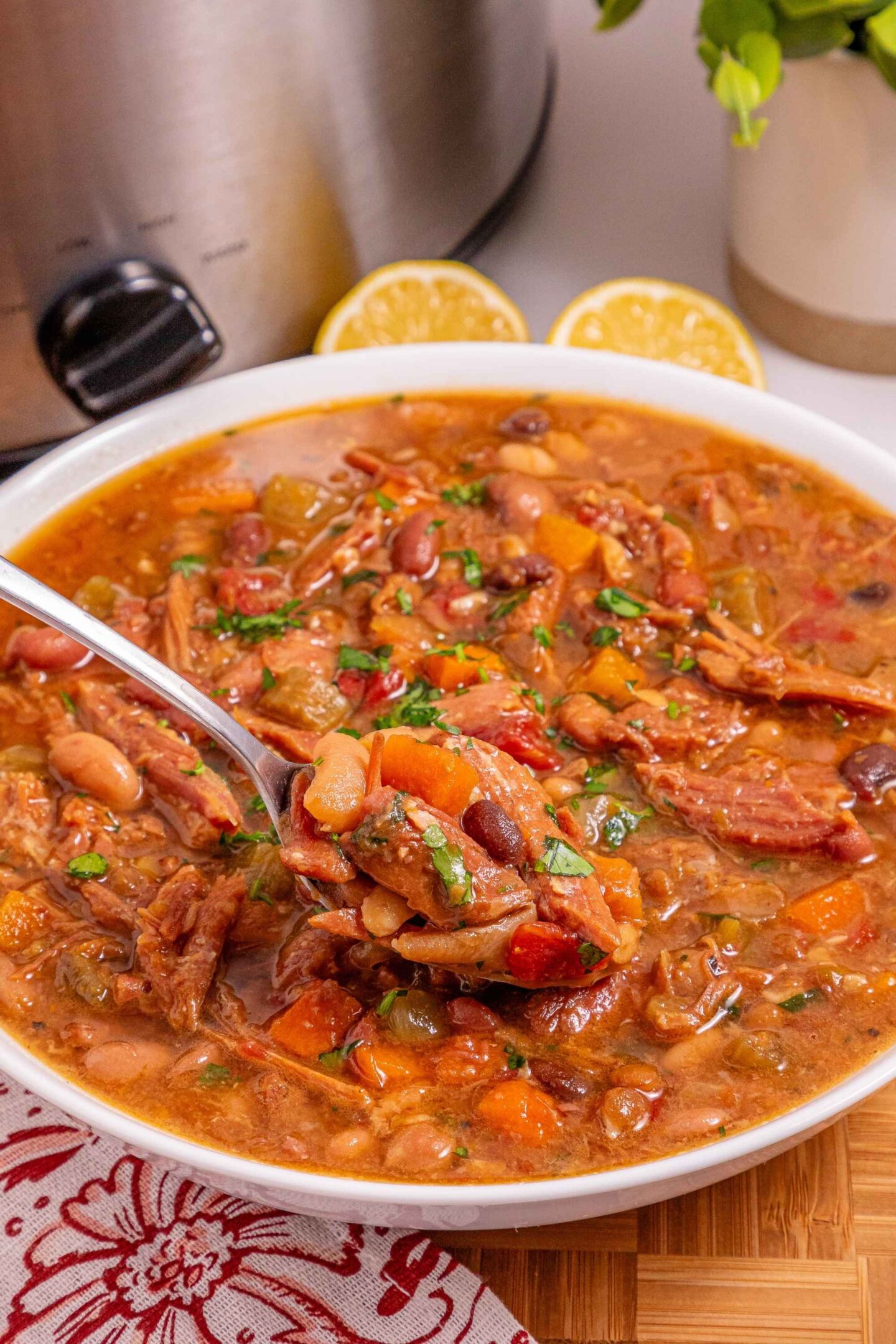 15 bean slow cooker soup