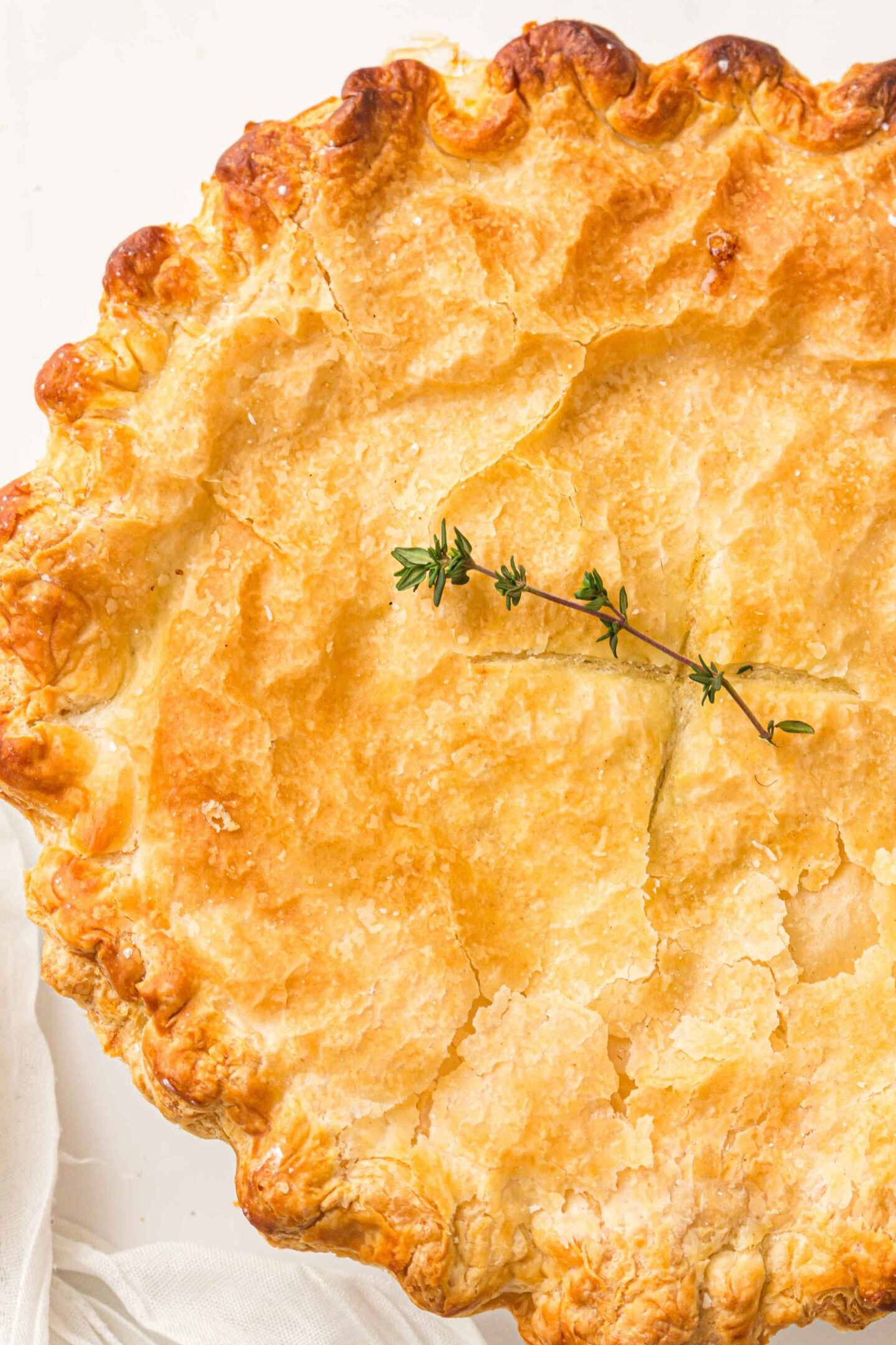 chicken pot pie with thyme