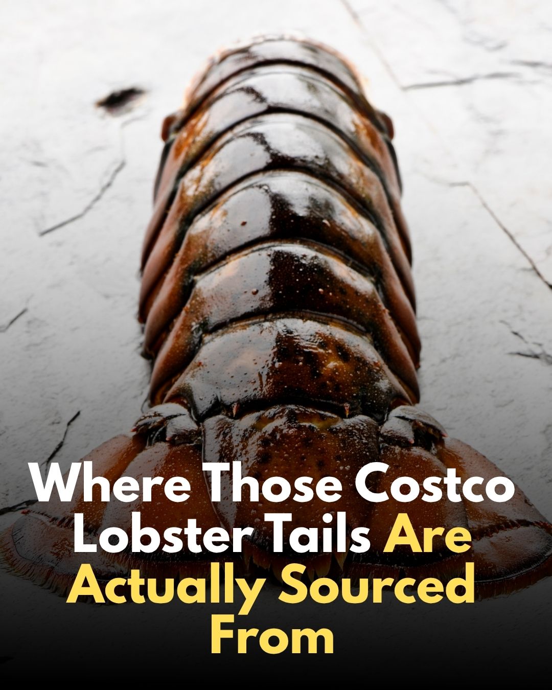 costco lobster