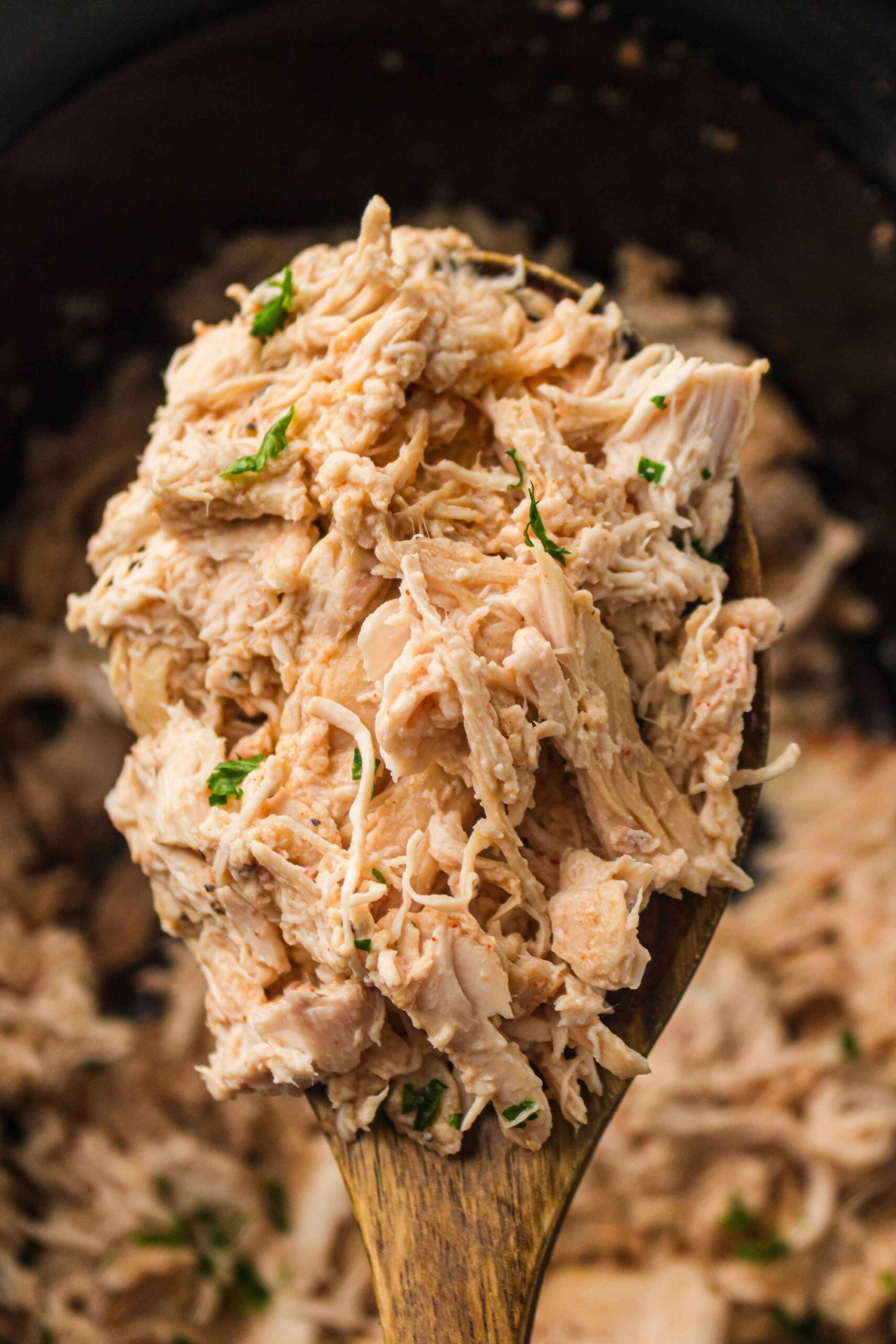 crockpot shredded chicken on spoon